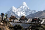 Everest Trekking Adventure Tour ( 2x3 Fit ) - Image 2